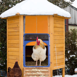 Chicken Coop Accessories