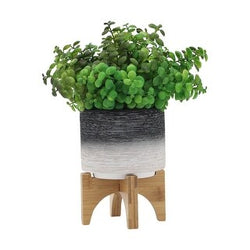 Indoor Planters