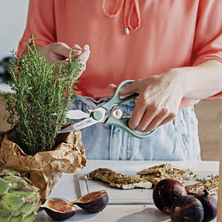 Kitchen Shears