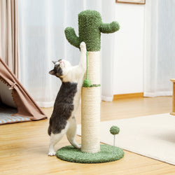 Cat Scratching Posts