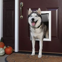 Pet Doors