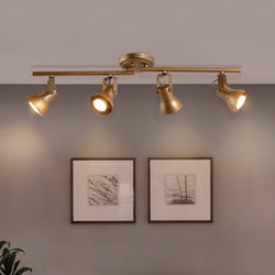 Track Lighting Rails