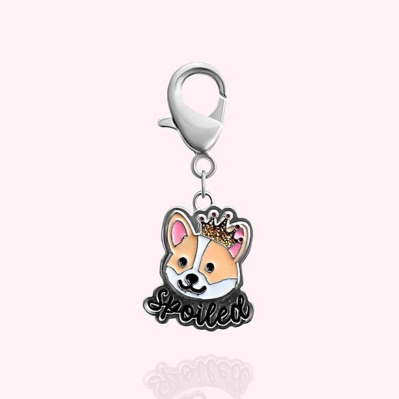 "Warning: Sloppy Kisser" Dog Collar Charm