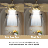 Moasis 52" Palm Leaf Ceiling Fan with Light Tropical Style with Remote