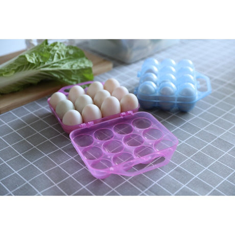 Clear Plastic Egg Carton, 12 Egg Holder Carrying Case with Handle