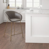 Madison Park Andrina Brown/ Gold Counter stool