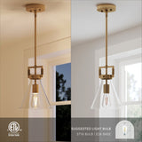 Nathan James Vincent Glass Pendant Lighting, Hanging Light Fixture with Adjustable Stem and Clear Shade