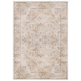 SAFAVIEH Adirondack Muzeyyen Ombre Distressed Rug