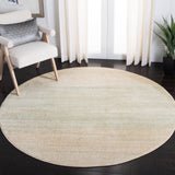 SAFAVIEH Adirondack Muzeyyen Ombre Distressed Rug