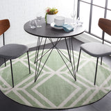 SAFAVIEH Adirondack Olsa Geometric Distressed Rug