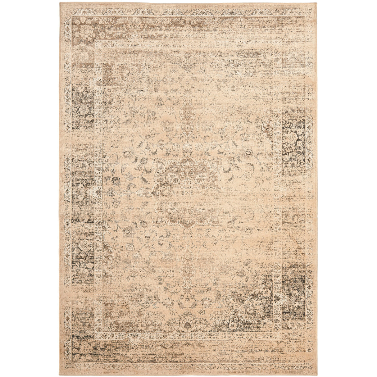 SAFAVIEH Agda Charlott Distressed Oriental Area Rug