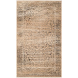 SAFAVIEH Agda Charlott Distressed Oriental Area Rug