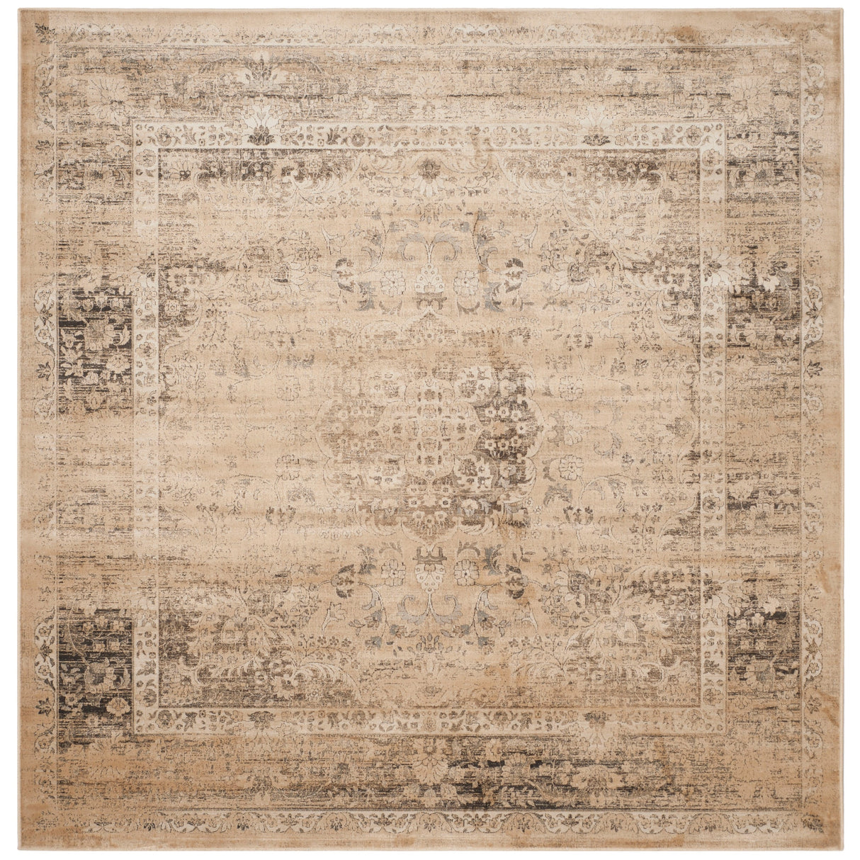 SAFAVIEH Agda Charlott Distressed Oriental Area Rug