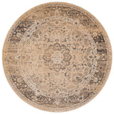 SAFAVIEH Agda Charlott Distressed Oriental Area Rug