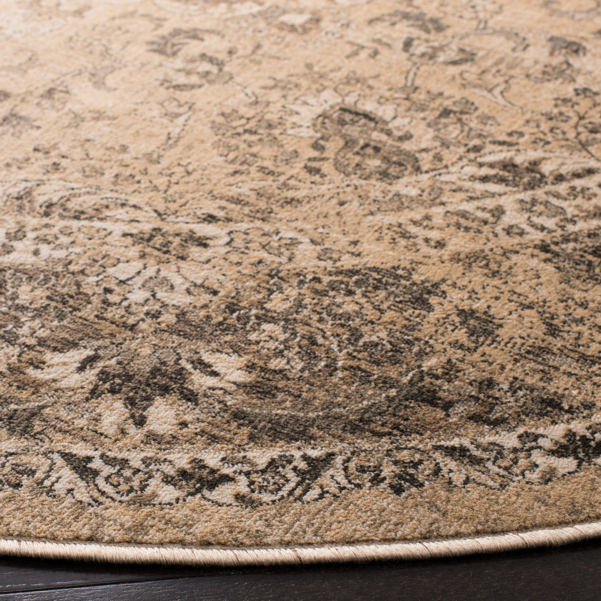 SAFAVIEH Agda Charlott Distressed Oriental Area Rug