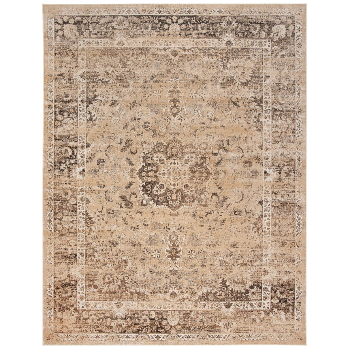 SAFAVIEH Agda Charlott Distressed Oriental Area Rug