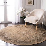 SAFAVIEH Agda Charlott Distressed Oriental Area Rug