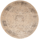 SAFAVIEH Agda Charlott Distressed Oriental Area Rug