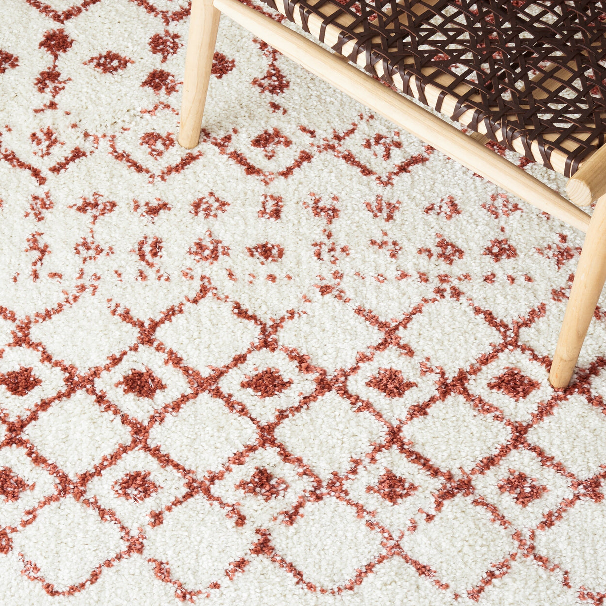 SAFAVIEH Berber Fringe Dashurije Leatha Trellis Rug