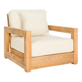 SAFAVIEH Couture Naoma Cushioned Teak Indoor/Outdoor Arm Chair