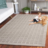 SAFAVIEH Hand-Loomed Impressions Apollonie Modern & Contemporary Wool Rug