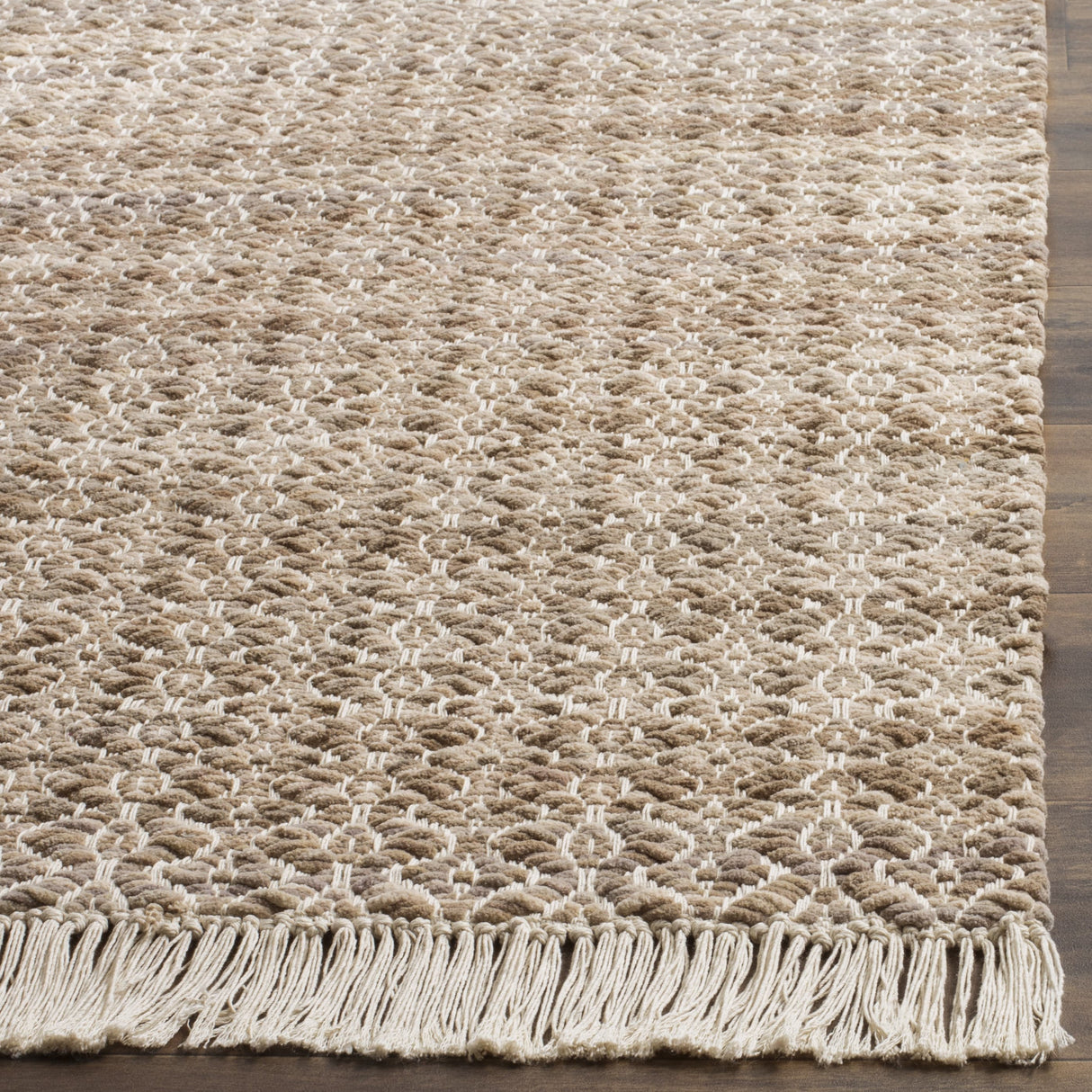 SAFAVIEH Handmade Boston Arbnora Coastal Cotton Rug with Fringe