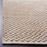 SAFAVIEH Handmade Boston Isotta Coastal Cotton Rug