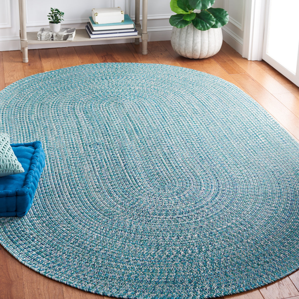 SAFAVIEH Handmade Braided Anthi Casual Rug