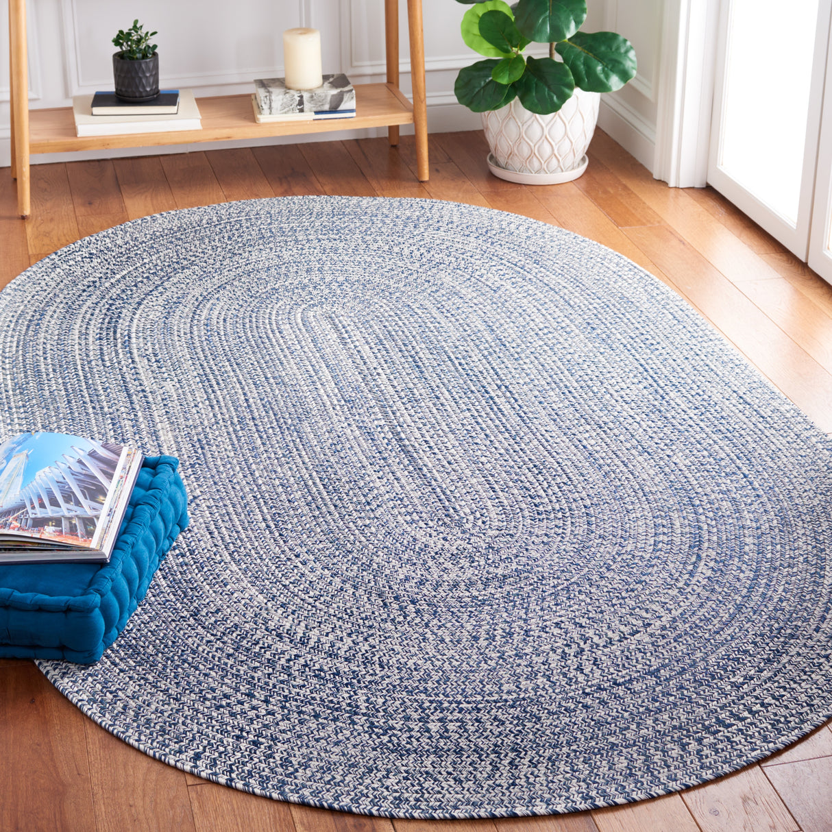 SAFAVIEH Handmade Braided Anthi Casual Rug