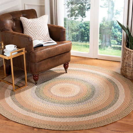 SAFAVIEH Handmade Braided Jivitza Country Rug