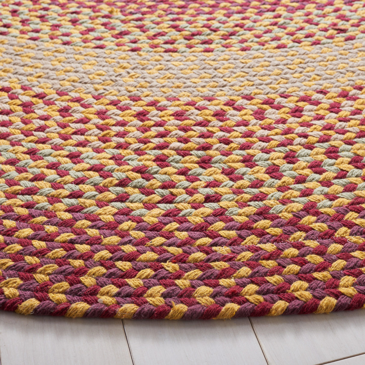 SAFAVIEH Handmade Braided Sylvianne Cotton Rug