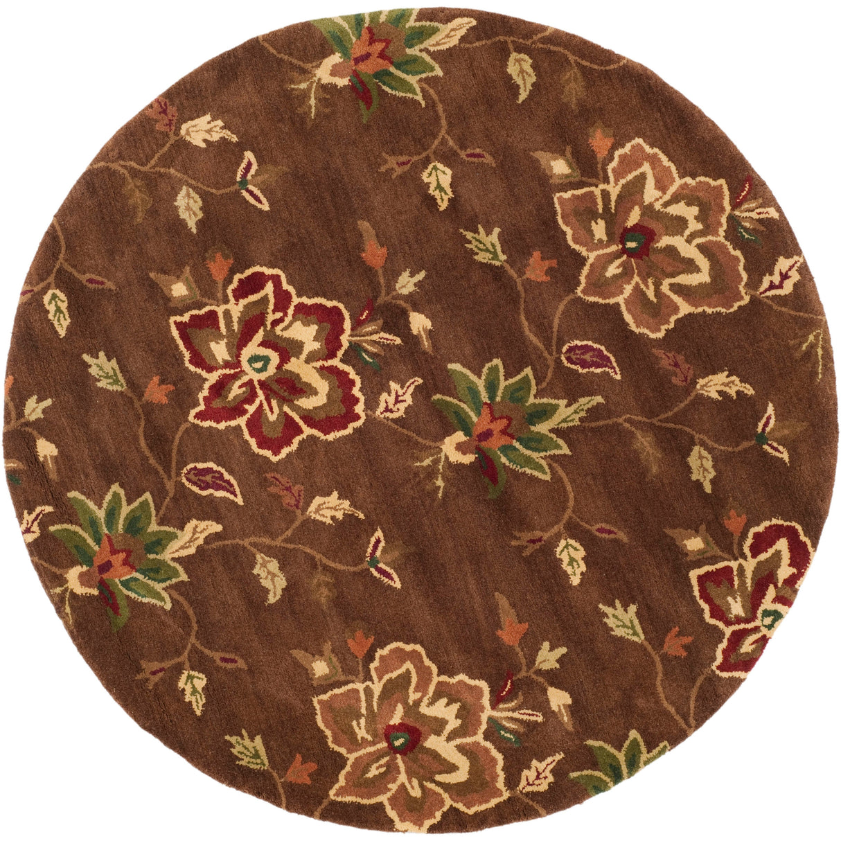 SAFAVIEH Handmade Jardin Areli Country Floral Wool Rug