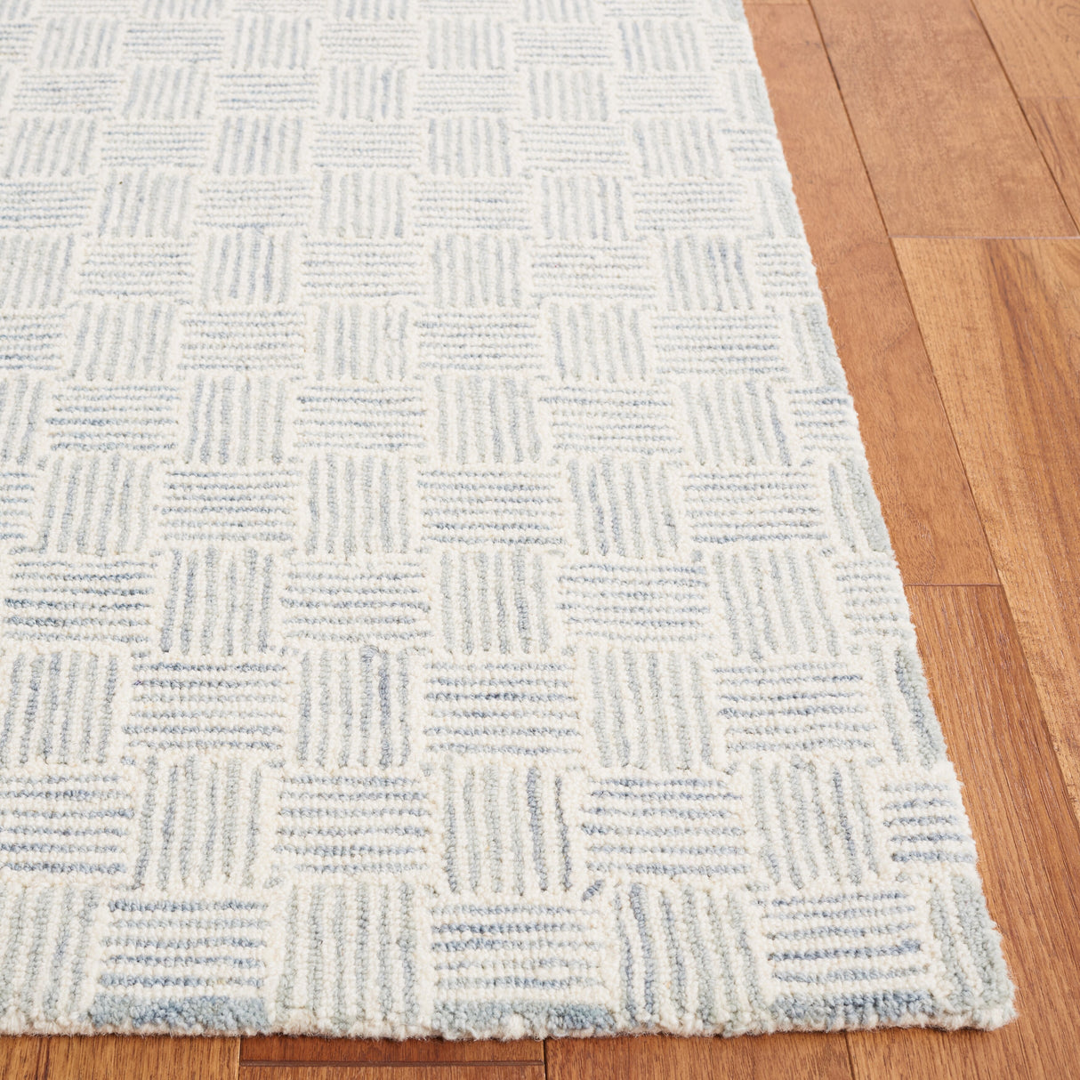 SAFAVIEH Handmade Micro-Loop Caridad Transitional Wool Rug