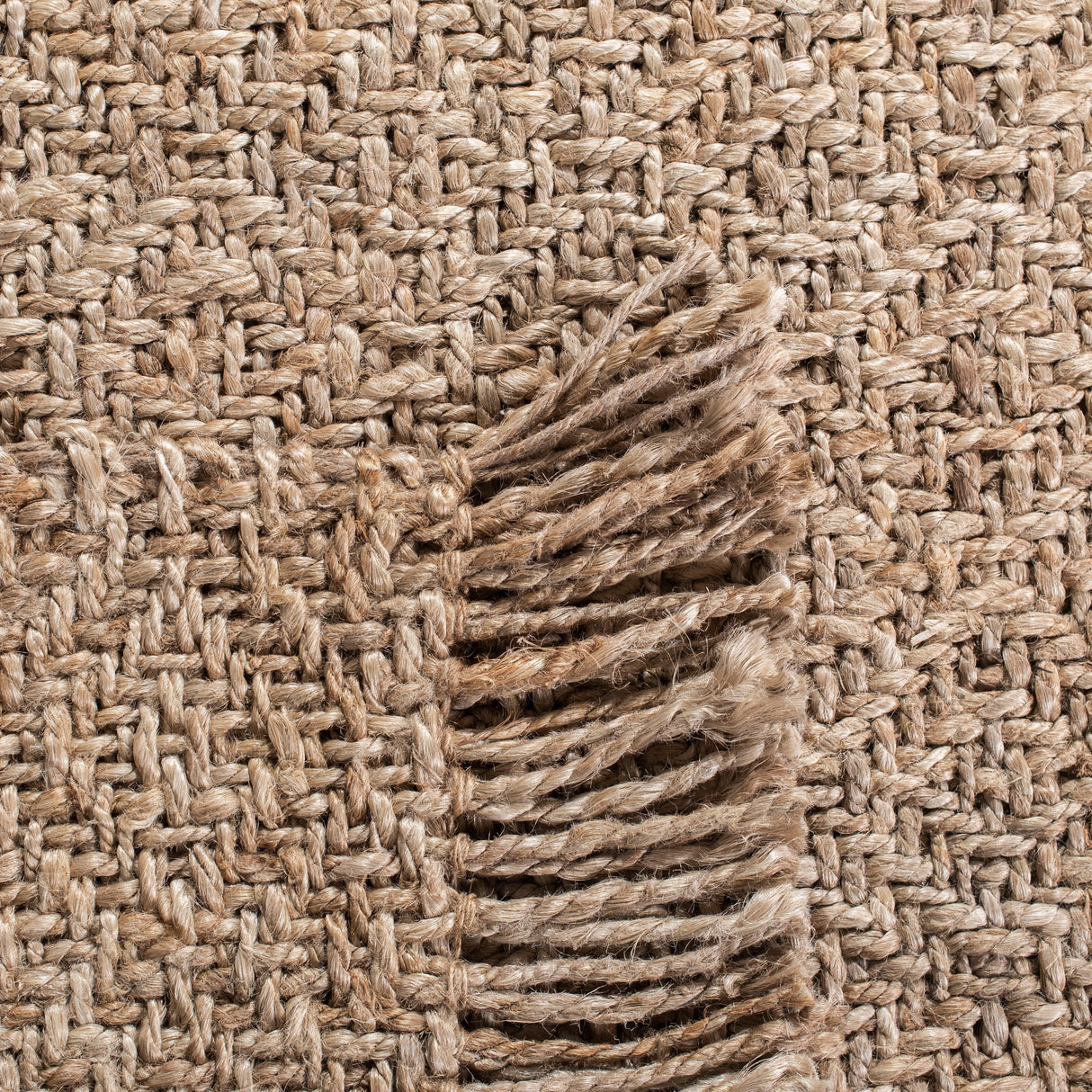 SAFAVIEH Handmade Natural Fiber Heidy Farmhouse Rug