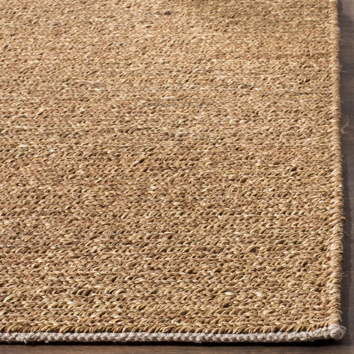 SAFAVIEH Handmade Natural Fiber Jaylah Seagrass/ Cotton Rug