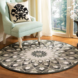 SAFAVIEH Handmade Novelty Aryana Wool Rug