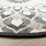 SAFAVIEH Handmade Novelty Aryana Wool Rug