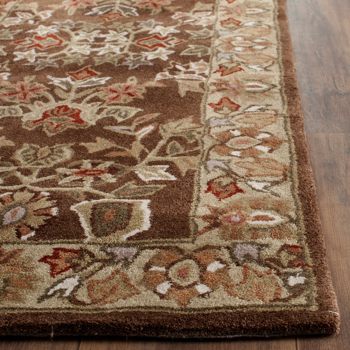 SAFAVIEH Handmade Total Performance Nere Oriental Rug