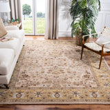 SAFAVIEH Handmade Total Performance Nere Oriental Rug