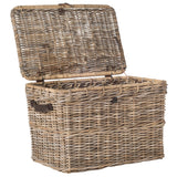 SAFAVIEH Helmtraud Grey Natural Rattan Storage Trunk - 35.6" x 22.4" x 23.6" - 36Wx22Dx24H