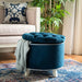 SAFAVIEH Ivette Grey Storage Ottoman