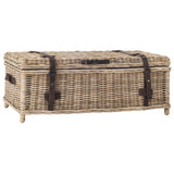 SAFAVIEH Kimberlyn Grey Natural Rattan Storage Trunk - 45.7" x 23.6" x 18.2" - 46Wx24Dx18H