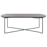 SAFAVIEH Leva Coffee Table - 39.4 In. W x 20.5 In. D x 13.8 In. H - 39Wx21Dx14H