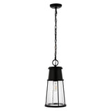 SAFAVIEH Lighting Embrulla Outdoor Pendant/Black - 8" W x 8" D x 22-94" H - 8Wx8Dx94H