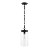 SAFAVIEH Lighting Patrycja Outdoor Pendant - 6" W x 6" D x 18-90" H - 6Wx6Dx90H