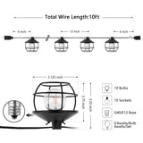 SAFAVIEH Lighting Rajshri 10 Ft LED Outdoor String Lights - Black - 120Wx3Dx3H