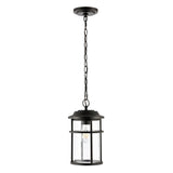 SAFAVIEH Lighting Venerina Outdoor Pendant - 8" W x 8" D x 18-90" H - 8Wx8Dx90H