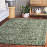 SAFAVIEH Lindsay Shag Luann Contemporary Rug