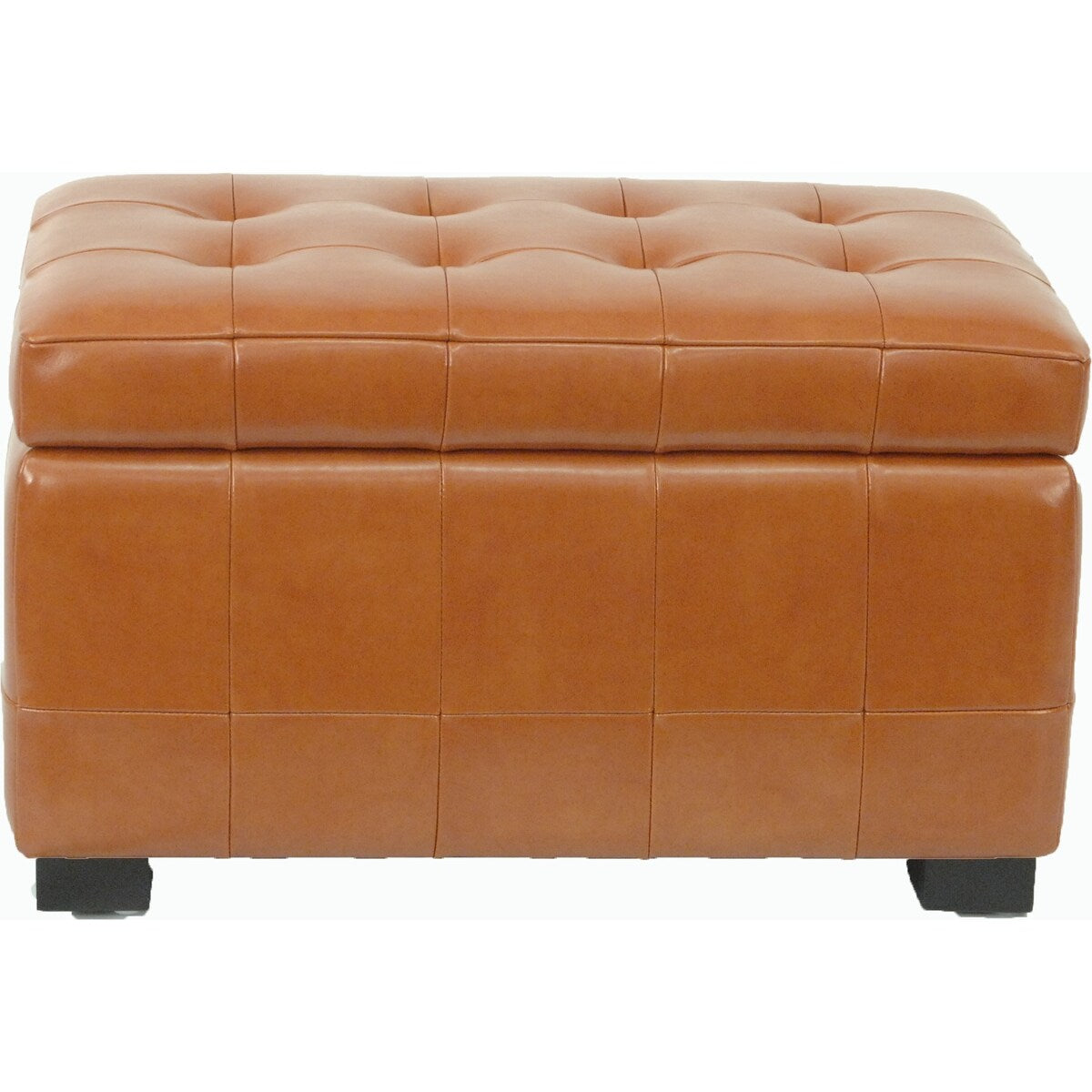 SAFAVIEH Lissa Storage Tufted Ottoman Bench