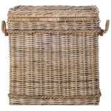 SAFAVIEH Lizica Grey Natural Rattan Storage Trunk - 25.6" x 13.7" x 27.5" - 26Wx14Dx28H